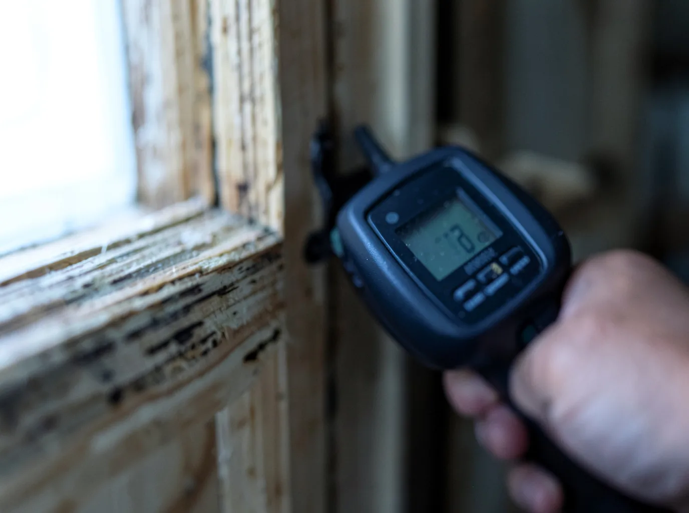 Ceiling Water Damage Repair in Alta, IA